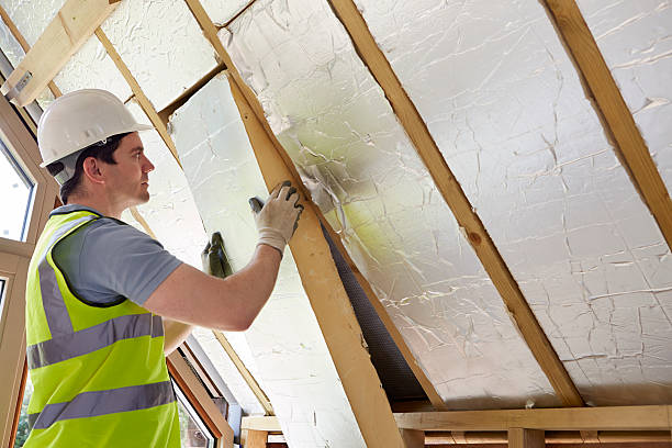 Best Insulation Installation Services in North Wantagh, NY